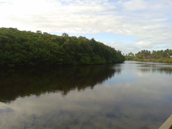 賓館 Ilha Do Desejo